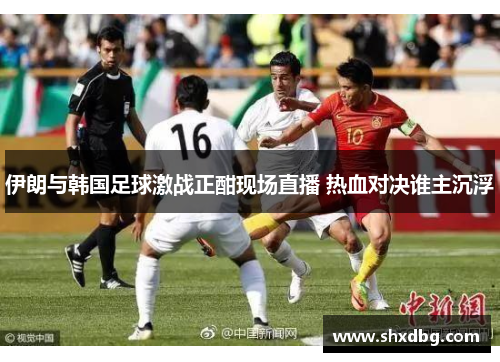 伊朗与韩国足球激战正酣现场直播 热血对决谁主沉浮