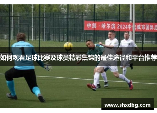 如何观看足球比赛及球员精彩集锦的最佳途径和平台推荐