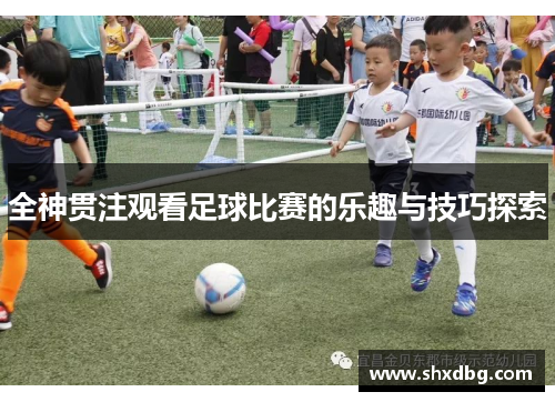 全神贯注观看足球比赛的乐趣与技巧探索