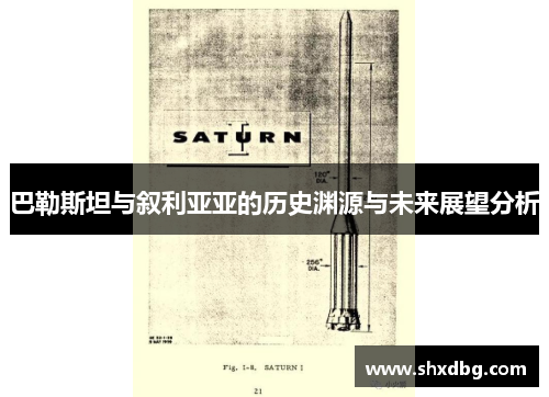 巴勒斯坦与叙利亚亚的历史渊源与未来展望分析