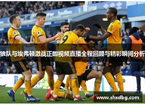 狼队与埃弗顿激战正酣视频直播全程回顾与精彩瞬间分析