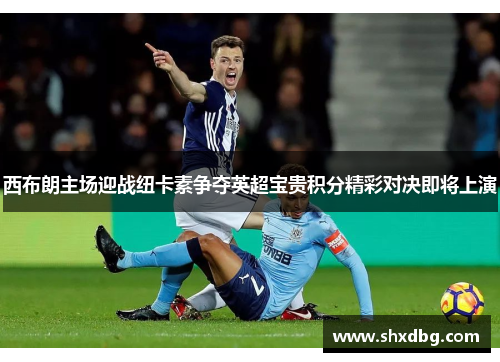 西布朗主场迎战纽卡素争夺英超宝贵积分精彩对决即将上演