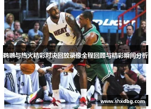 鹈鹕与热火精彩对决回放录像全程回顾与精彩瞬间分析