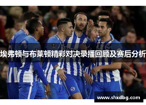 埃弗顿与布莱顿精彩对决录播回顾及赛后分析